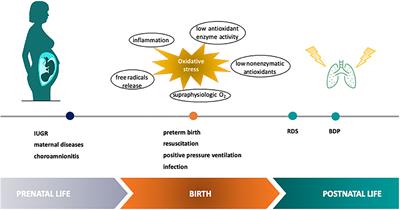 Biomarkers of Oxidative Stress for Neonatal Lung Disease